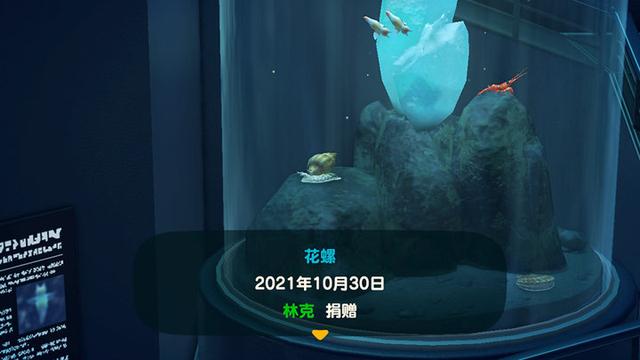 海洋生物|岛民代表请注意：快回无人岛，《动森》最强更新来了