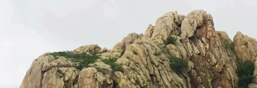 诚然情感之事 哪些人婚后夫妻关系融洽