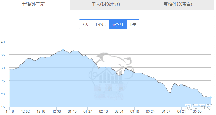 生猪价格 猪价直指9块,猪市没救了?专家:行情即将见底,猪价要涨!