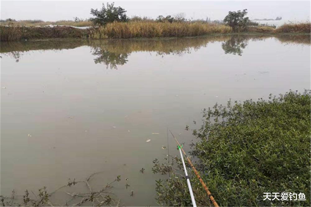 饵料|早春钓鱼，4宜4不宜！