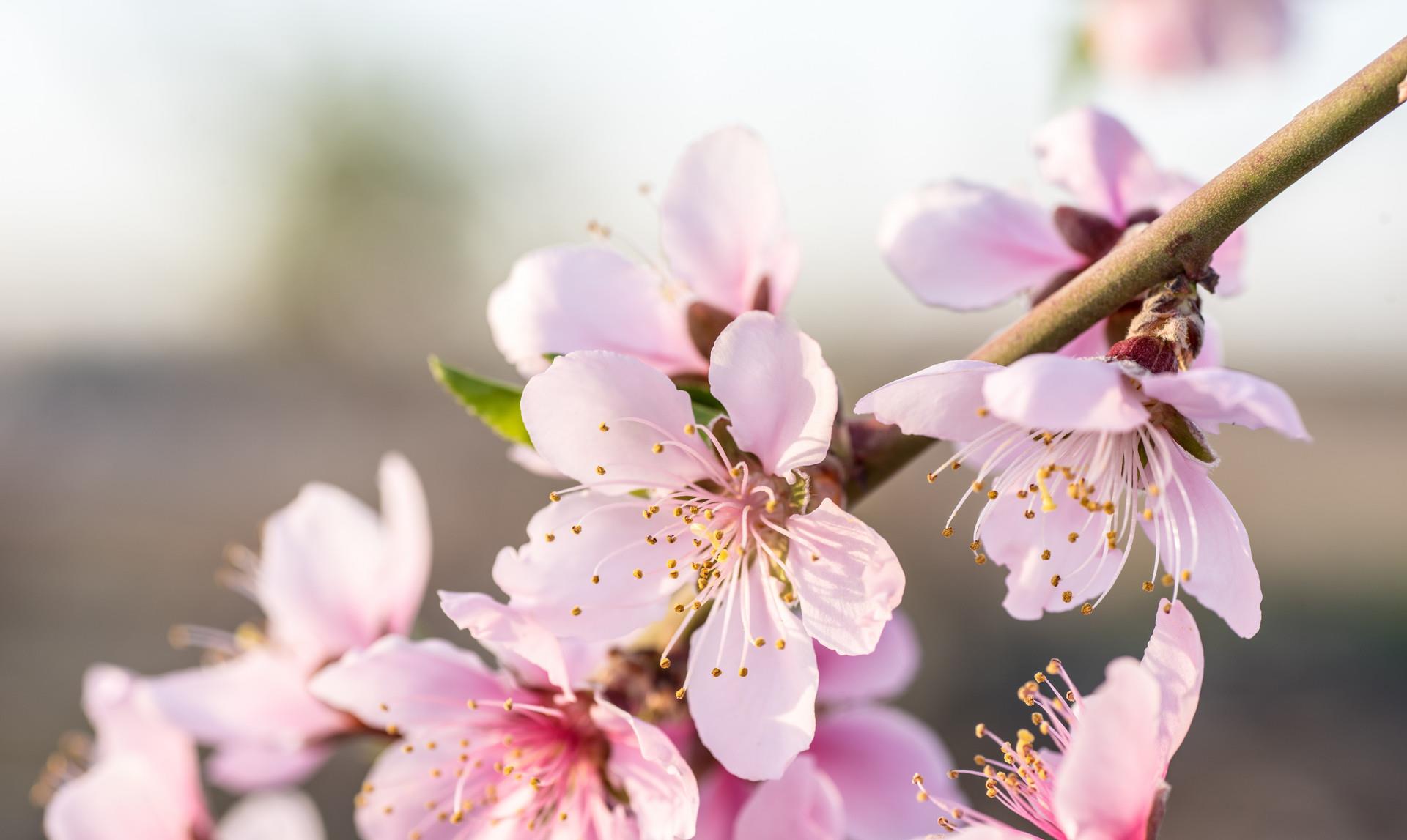 开心生活助手|最后你会明白：你嫁的，未必是你爱的