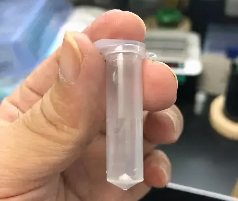 二氧化碳 全球首次，我国科学家用二氧化碳造出淀粉！比植物制造快8.5倍