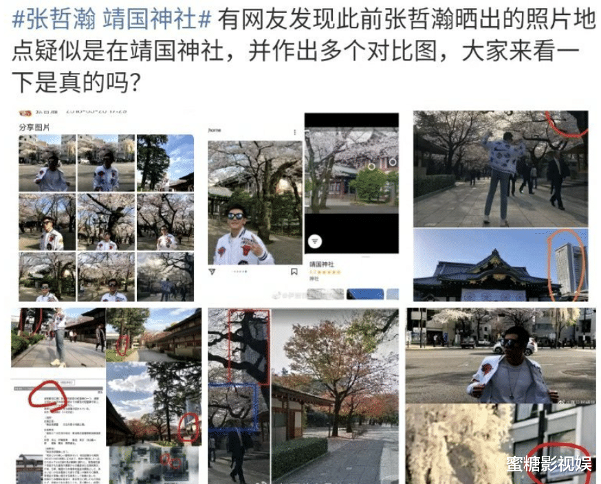 张哲瀚|张哲瀚发长文致歉，却被曾晒过的书单打脸！网友：说话前后矛盾！