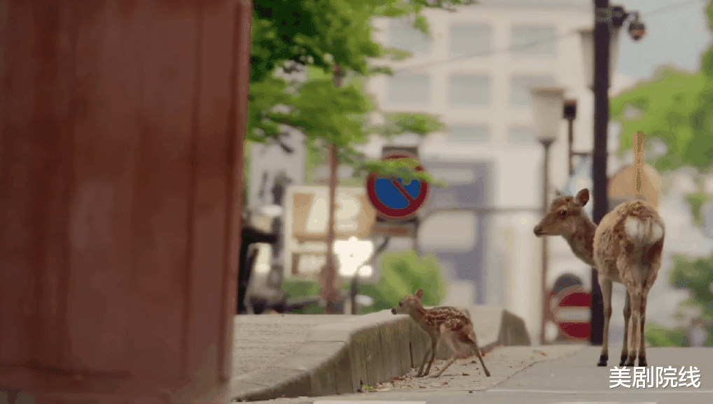 大象 豆瓣9.2，这才是我们现在要看的神作，就该打五星