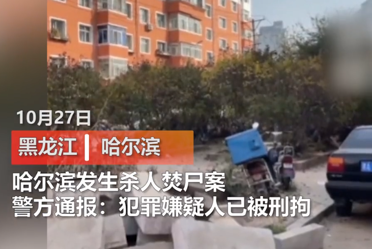 痛心!哈尔滨一女子被儿子杀害后焚尸