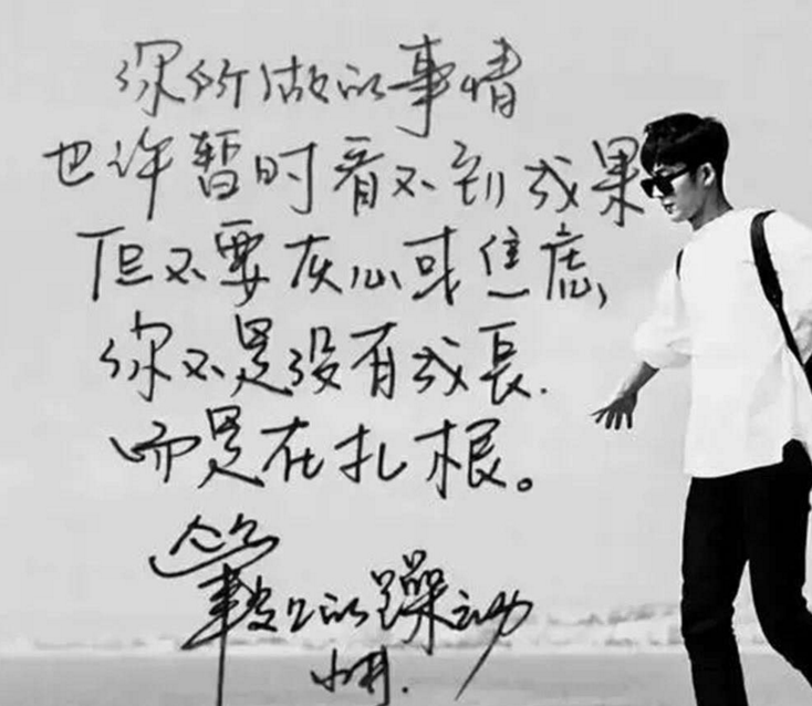 凤凰传奇|明星字迹“大PK”，龚俊被夸字如其人，赵丽颖字迹却像小学生