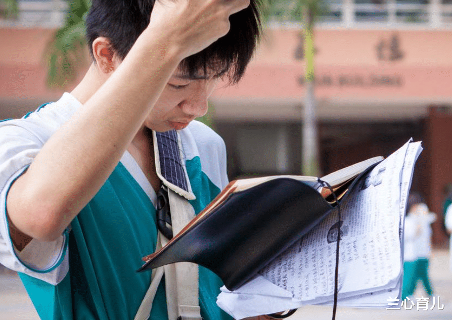 兰心育儿|张锡峰高考成绩出炉，想去城里拱白菜？还是再战一年吧