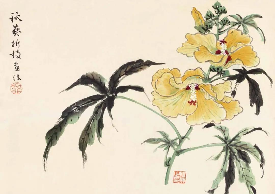 兰瑾轩学艺 花卉怎么画？不如跟着陆抑非的花卉课稿学习吧