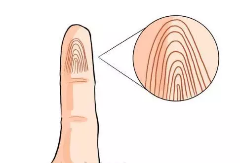 诚然命理|从小指的指纹看晚年的命运？