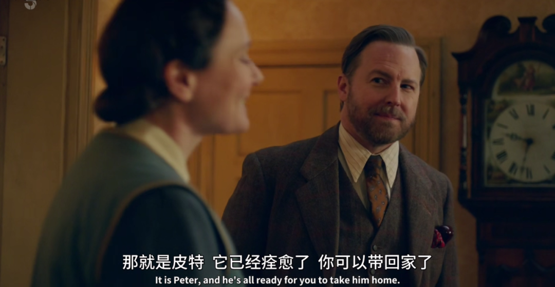 兽医|一集9.6，年度剧王回来了