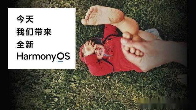 小米科技|网友：希望小米用上Harmony OS！可小米有自己的系统