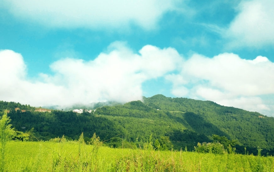 一颗许愿树|三十六岁的儿媳照顾六十八岁瘫痪的公公，孝道在行，感动人心