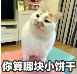 |为什么说领导最怕硬气的员工?