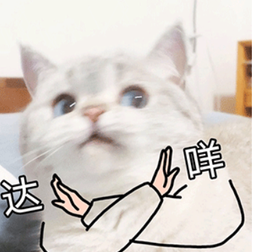 微信支付|疯狂烧钱的社区团购，这次终于翻车