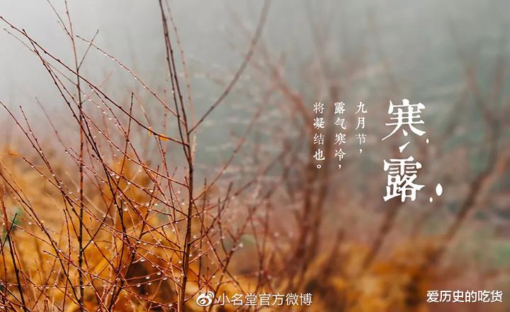 柿子|寒露已至，记住“三不吃，三不露”，顺应天时以养生健康过秋