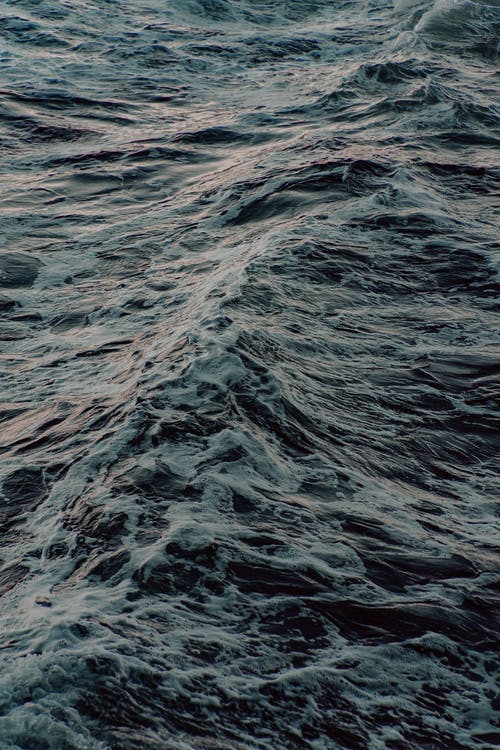 海钓|海钓全攻略（一）（初学海钓之海上垂钓必备常识）（精髓）