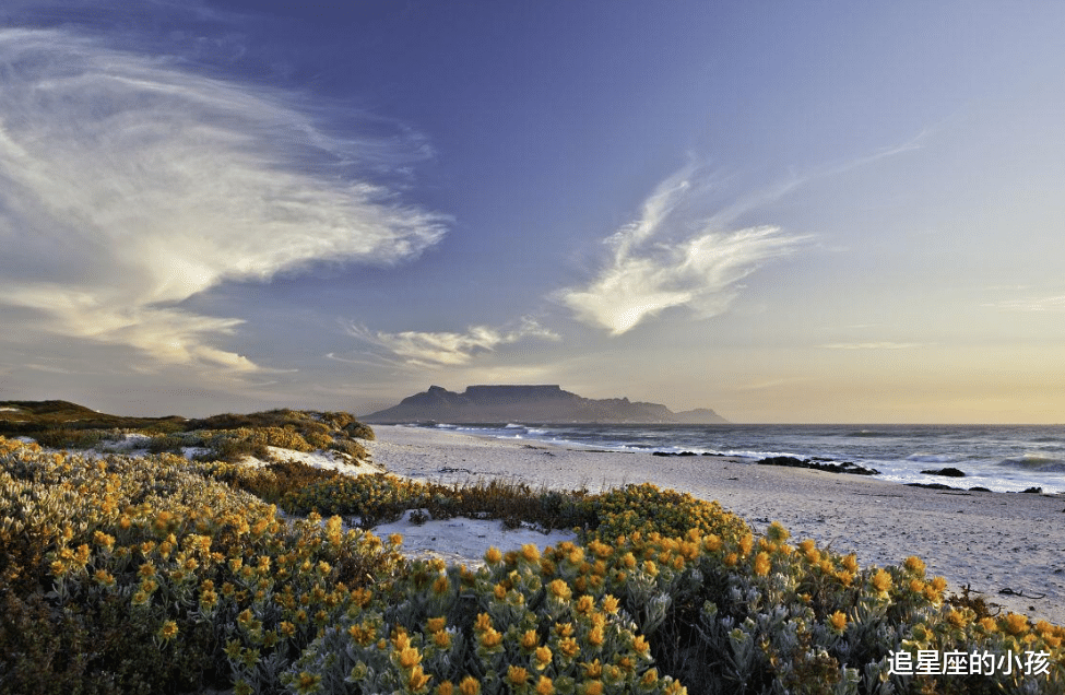 追星座的小孩 射手座的那些不为人知的秘密,不仅仅是优雅的君子,更不失勇敢