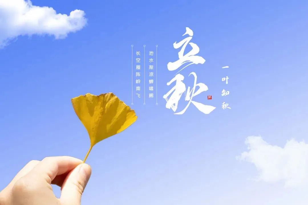 红豆|立秋之后有一伏,饮食这样注意好!