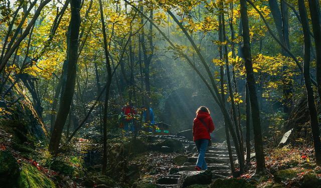 阳朔 芜湖一景区火了，被赞“皖南张家界”，“玻璃桥+玻璃栈道”绝美
