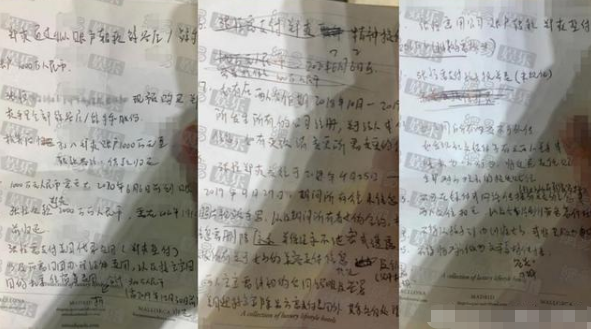 郑爽|郑爽这份手写合同，彻底扯下了她的遮羞布，她真实的一面是虚伪