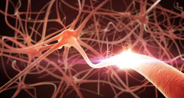 血栓|血栓“最怕”一种果，不是芹菜，平时可劲吃，脂质快快被排出