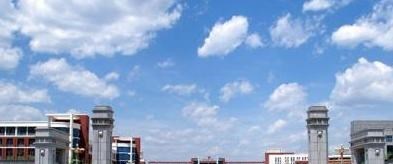 求职|专科不好找工作？这五所学校告诉你，毕业证含金量丝毫不低于本科