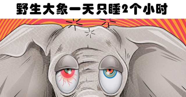 银河系 天黑请闭眼：动物们的“花式”睡姿，了解一下！（涨知识了）