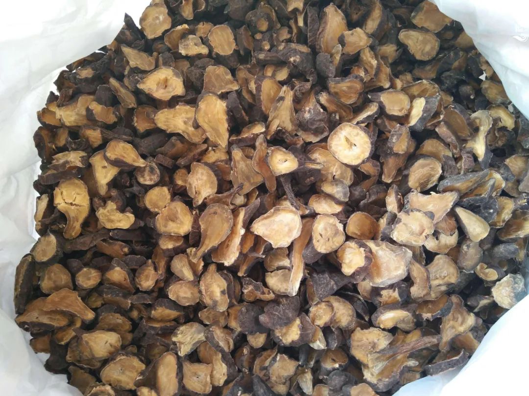 中成药|你知道什么是脾胃湿寒吗？怎样才能除寒祛湿呢？这6物或可帮你