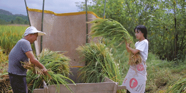 李子柒|活在仙境里的李子柒，“仙气”崩塌，近照惨不忍睹