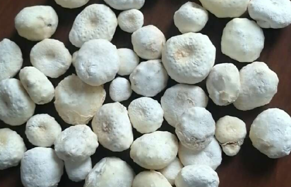 枸杞|身边的中草药——28味毒性中药