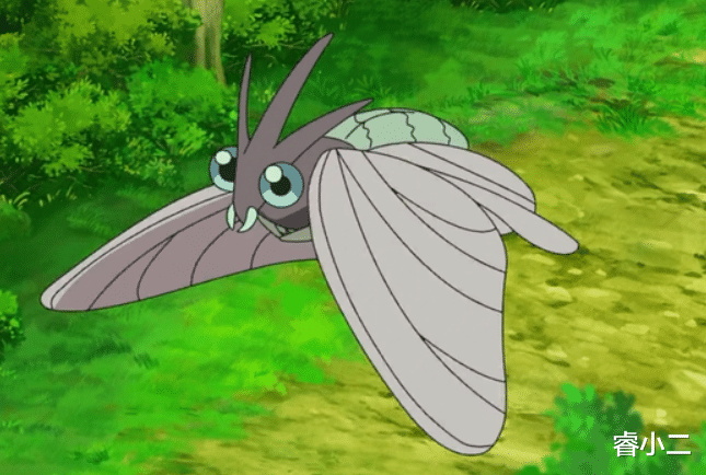 航天员 《宝可梦》来源与生态:似蝶似蛾,可能也喜欢吸血的摩鲁蛾!