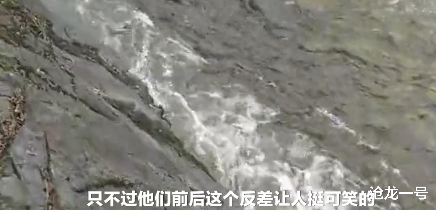 沧龙一号 陕西秦岭：驴友穿越失联，38名救援队搜索，获救后减扣搜救者车费