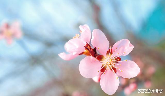 安安漫谈情感|55岁大婶和42岁男人再婚，大婶：晚上太折腾，男人：夫妻就是这样