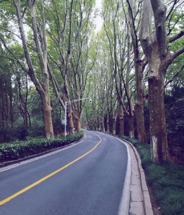 超嗨旅游玩法 山湖之间的神隐之路,被称为“南京最恐怖的路”,这里怪像频出