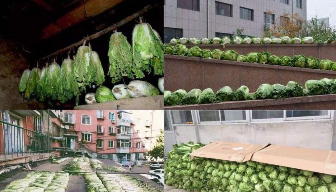 入九后,有条件多吃“冬补4宝”,应季而食,补足营养好过冬