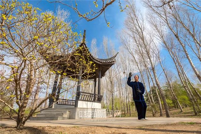 哈尔滨新闻网 好多美图｜景美人少不堵车，香坊10个免费大公园五一来逛逛
