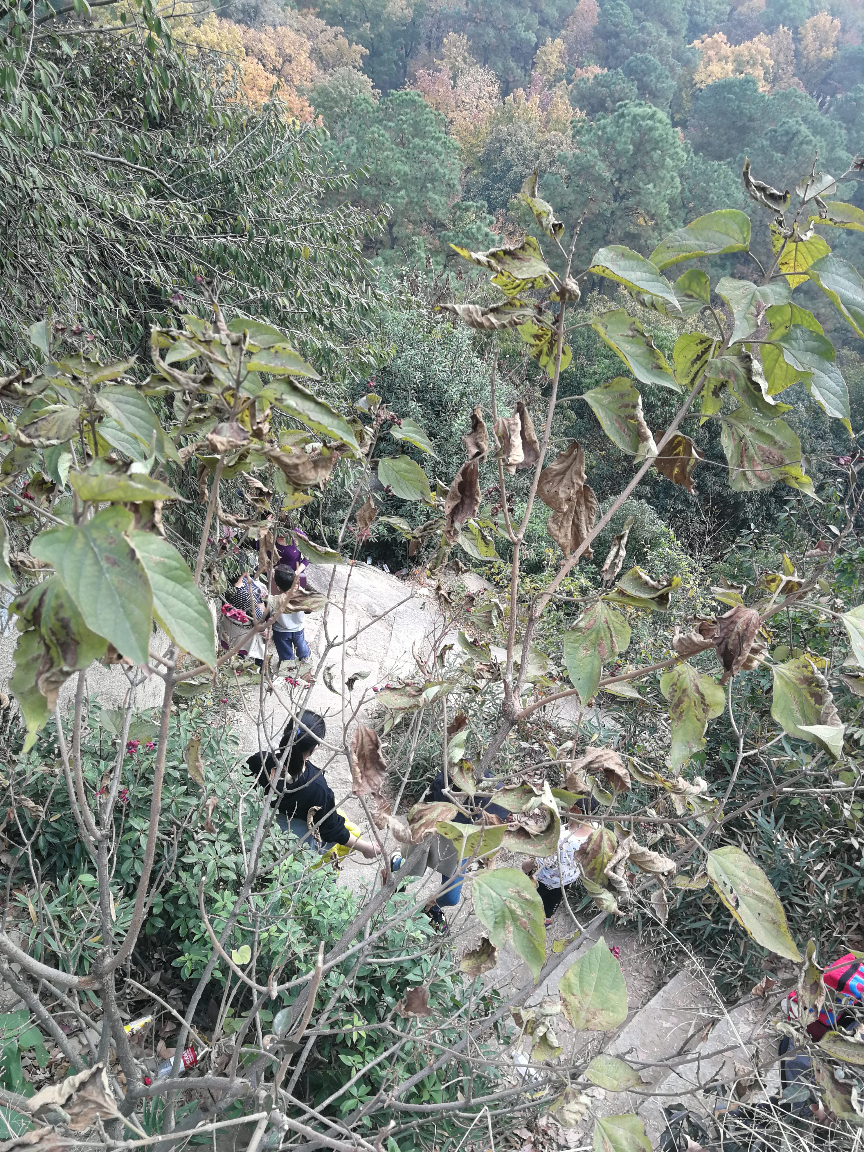 szfreeman 离开卓笔峰，山脚下上演着小哥哥姐姐们的cosplay