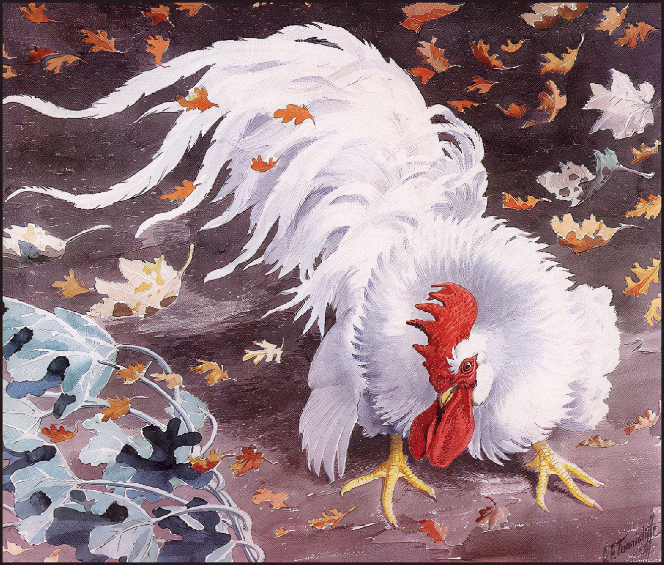 英国查尔斯.图尼克利夫(Charles.Tunnicliffe)禽鸟水彩画