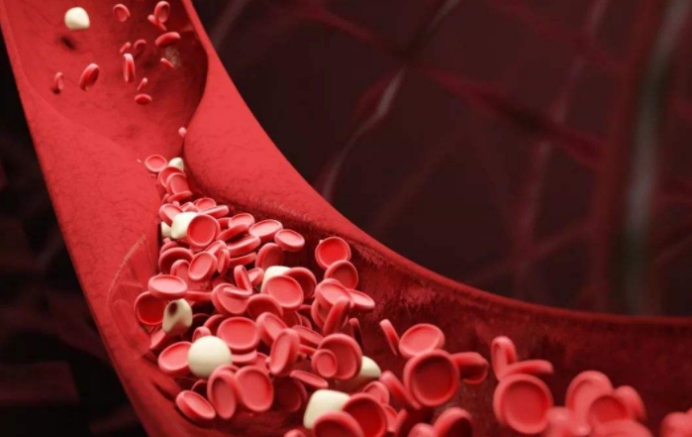 雪雪的鱼|3种食物是“升脂大户”，医生提醒：血脂高的人，劝你尽量少吃