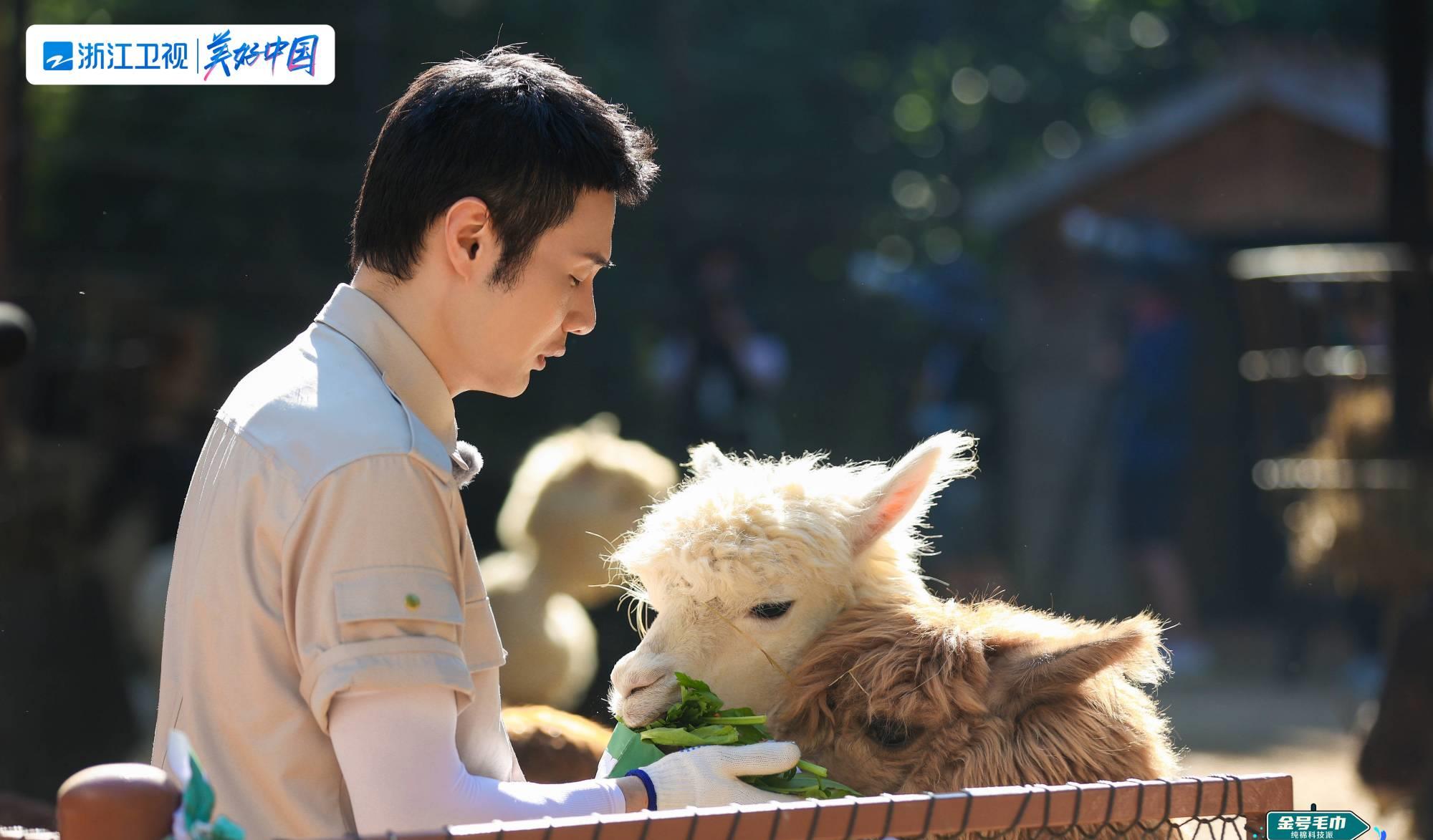 一只麦兜 广电媒体官方点赞嗨放派，从三个方面大力宣传，有一嘉宾却被质疑