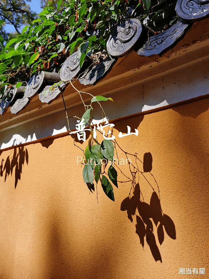 普陀山 不走冤枉路,普陀山礼佛最全攻略!吃住行一篇搞定