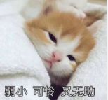 林淑容|和渣男离婚后，她怎么更差劲了？