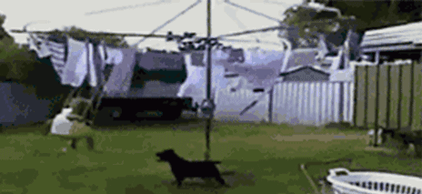 |闲置率极高的4件家居用品,妥妥的智商税,别再跟风了