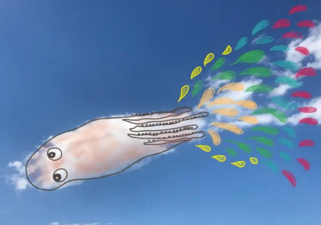 七彩云南资讯 云南大理的北方姑娘坚持画云 画了600多天被赞超治愈