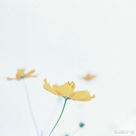 美食|有钱就去买好吃的，各路美食吃到底的星座