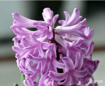 |哪些日期出生的人，勇于担当，有责任感，职场中有口皆碑