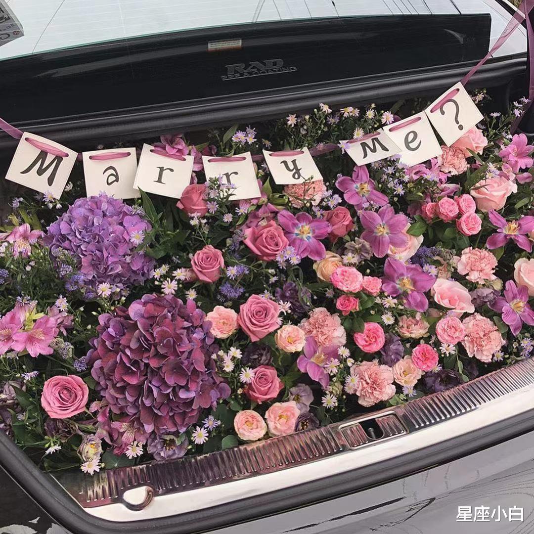 星座小白|这三大星座看起来不争不抢,其实人家是懒得计较