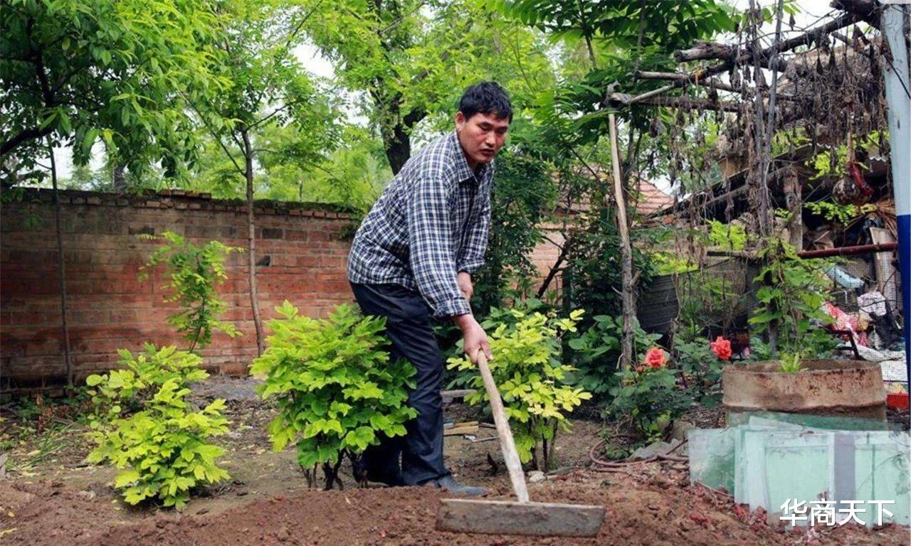 |是亚楠说漏了嘴，还是在试探网友？正中老朱下怀，清理门户开始了
