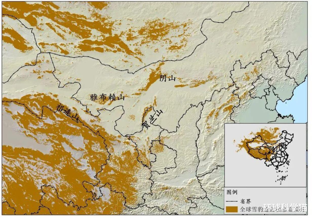 环球科学猫 罕见！时隔50多年，贺兰山重现雪山之王雪豹，它出现意味着什么？