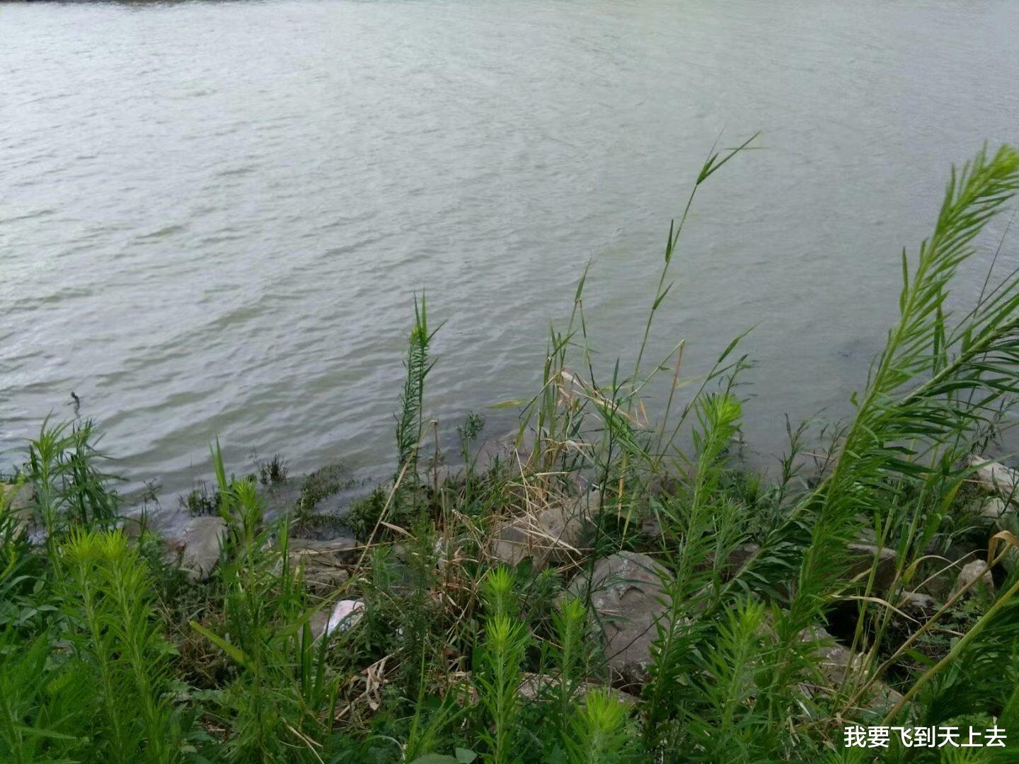 我要飞到天上去 一个农民作家的困惑,想创业却无从下手